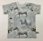 Comic set - t-shirt and shorts (1) (1) (1) (1) (1) (1)