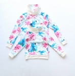 Hummingbird family set