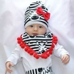 Zebra set with red