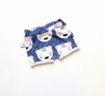 Spodenki misie granat