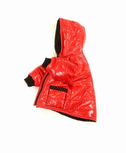 Coat stars and navy (1) (1) (1)