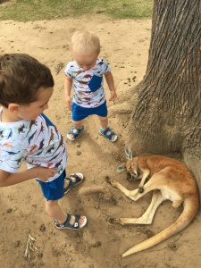 Comic set - t-shirt and shorts (1) (1) (1) (1) (1) (1) (1) (1) (1)