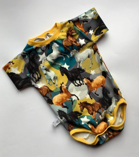 28125777_10155928663367367_642873471_o (1).jpg