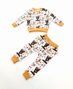 Dino set - hooded blouse and trouses (1) (1) (1) (1) (1) (1) (1) (1)