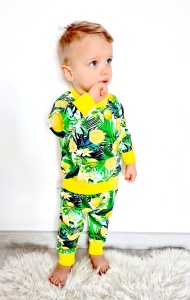 Dino set - hooded blouse and trouses (1) (1) (1) (1) (1) (1) (1) (1) (1)