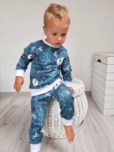 Dino set - hooded blouse and trouses (1) (1) (1) (1) (1) (1) (1) (1) (1) (1)