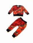 Dino set - hooded blouse and trouses (1) (1) (1) (1) (1) (1) (1) (1) (1) (1) (1) (1)