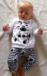 Zebra set - trousers + blouse
