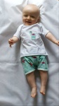 Flamingo shorts