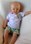 Foxes on mint set - t-shirt and shorts (1)