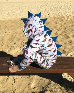 Dino set - hooded blouse and trouses (1) (1) (1)