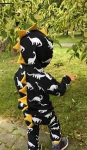 Dino with stars set - hooded blouse and trousers (1) (1)