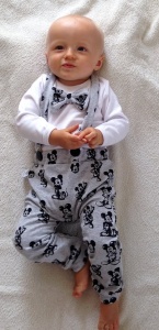 Gray mouses set with braces
