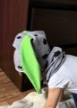 16472814_415188132152003_2283627279368615803_n.jpg