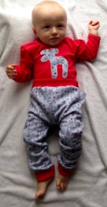 Reindeers set - trousers + body