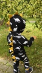 Dino with stars set - hooded blouse and trousers (1) (1) (1)