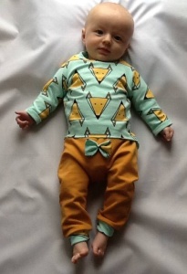 Mint Foxes set with bow - trousers + long sleeve